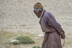 Nomad Changpa Man Tsokara Area Ladakh India